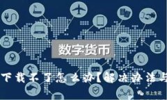 国内数字钱包下载不了怎